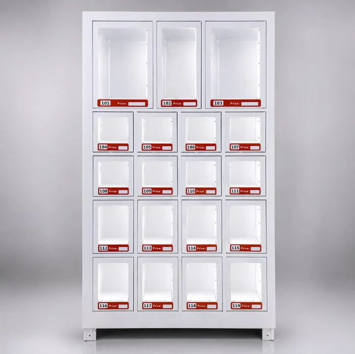 Locker 19 Celdas Frente Vacio.webp